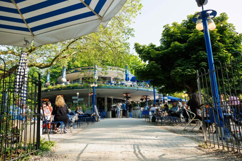 0g3a9972-kopie-scaled